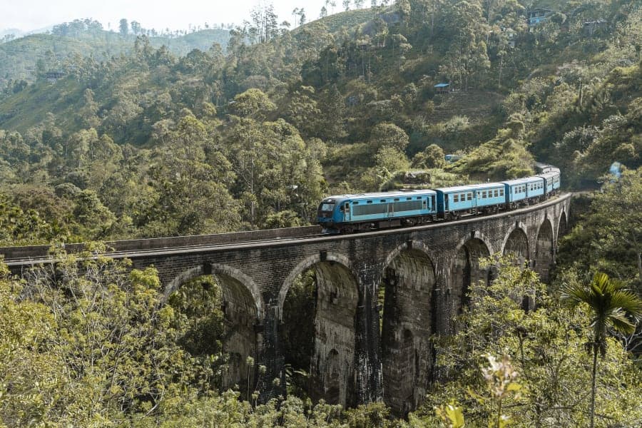 Hanging Out of the Ella Blue Train